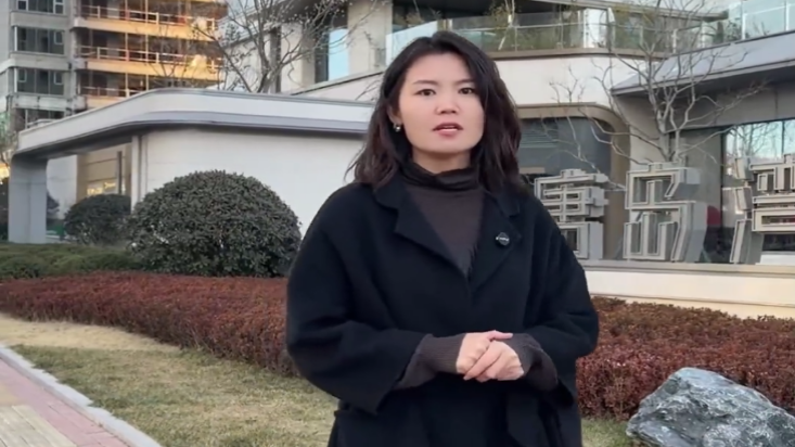 房产销售行业案例展示